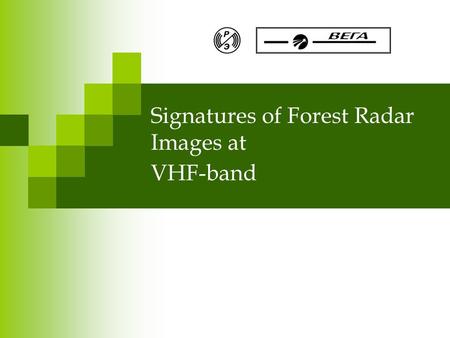 Signatures of Forest Radar Images at VHF-band. BioGeoSAR07 Overview Airborne SAR system IMARK Simultaneous radar and ground-based forest measurements.