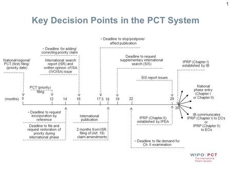 Key Decision Points in the PCT System