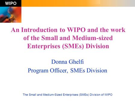 Donna Ghelfi Program Officer, SMEs Division
