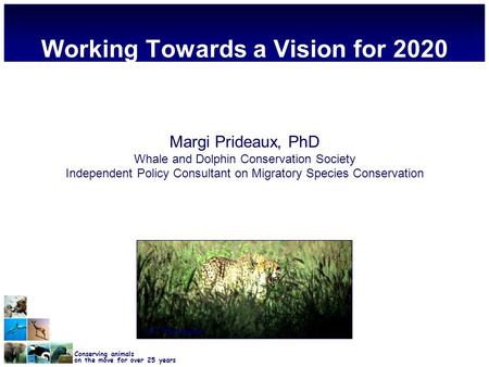 Conserving animals on the move for over 25 years Working Towards a Vision for 2020 Margi Prideaux, PhD Whale and Dolphin Conservation Society Independent.