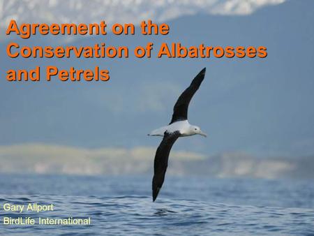 Agreement on the Conservation of Albatrosses and Petrels