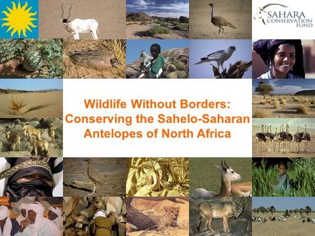 Wildlife Without Borders: