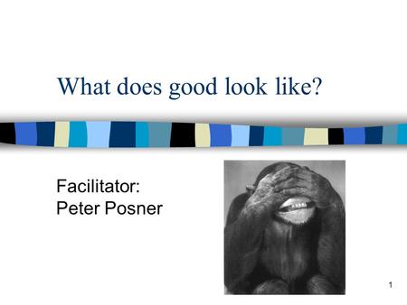 1 What does good look like? Facilitator: Peter Posner.