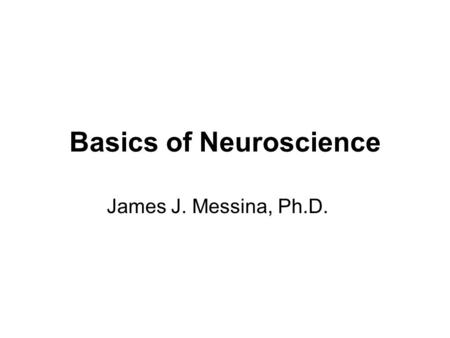 Basics of Neuroscience