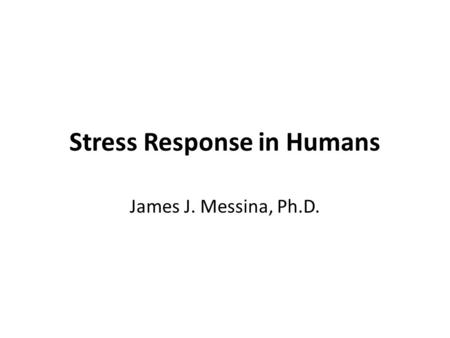 Stress Response in Humans James J. Messina, Ph.D..