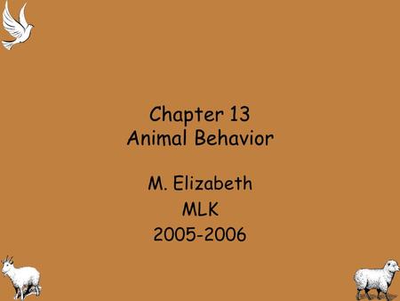 Chapter 13 Animal Behavior M. Elizabeth MLK 2005-2006.