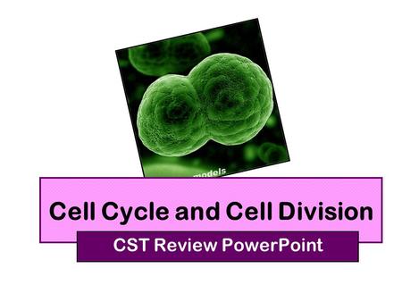 Cell Cycle and Cell Division