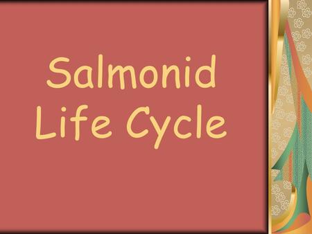 Salmonid Life Cycle.