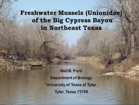 Neil B. Ford Department of Biology University of Texas at Tyler Tyler, Texas 75799 Freshwater Mussels (Unionidae) of the Big Cypress Bayou in Northeast.