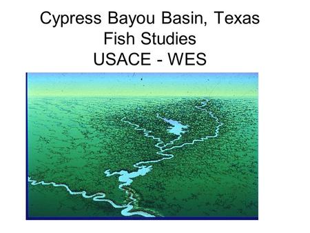 Cypress Bayou Basin, Texas Fish Studies USACE - WES.