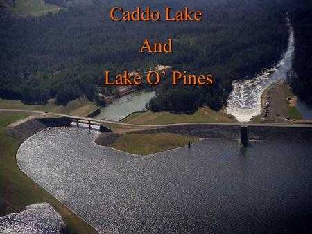 Caddo Lake And Lake O Pines. Lake Caddo Project History Project History Original Dam 1914 Original Dam 1914 Cypress Bayou Navigation Project Cypress Bayou.