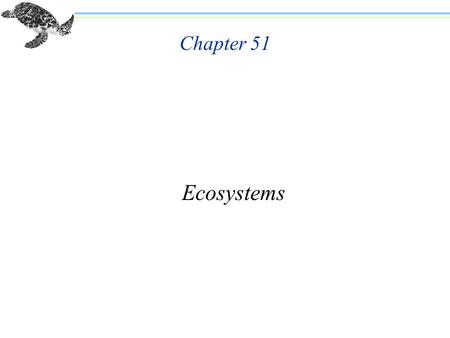 Chapter 51 Ecosystems.