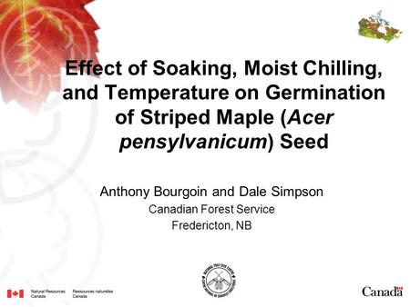 Effect of Soaking, Moist Chilling, and Temperature on Germination of Striped Maple (Acer pensylvanicum) Seed Anthony Bourgoin and Dale Simpson Canadian.