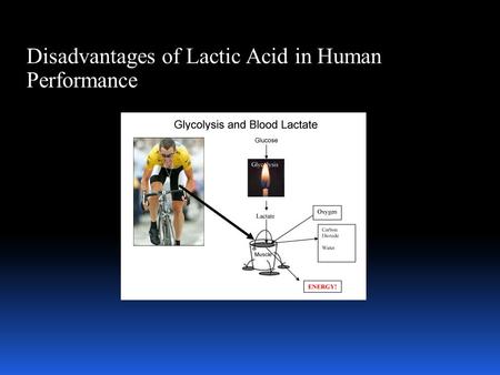 Disadvantages of Lactic Acid in Human Performance