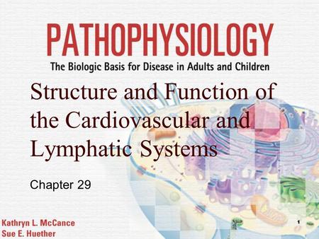 Structure and Function of the Cardiovascular and Lymphatic Systems