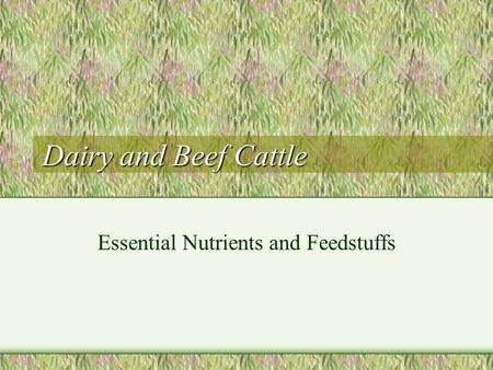Essential Nutrients and Feedstuffs