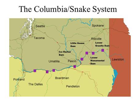 The Columbia/Snake System