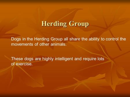 Herding Group Dogs in the Herding Group all share the ability to control the movements of other animals. These dogs are highly intelligent and require.