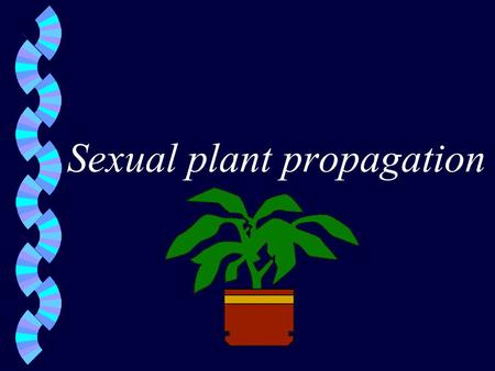 Sexual plant propagation. Propagation of plants from seeds w Composition of seeds w Seed coat- outside covering which protects embryonic plant w endosperm-
