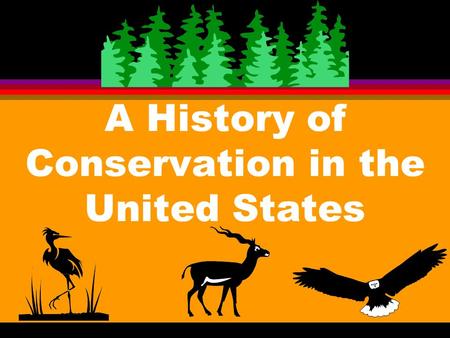 A History of Conservation in the United States Exploitation - Wasting l A. When people were few there was little need for conservation 1. Wise management.