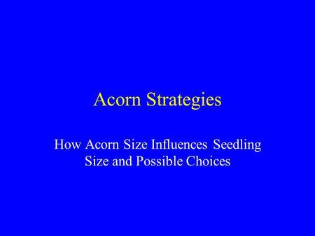 Acorn Strategies How Acorn Size Influences Seedling Size and Possible Choices.