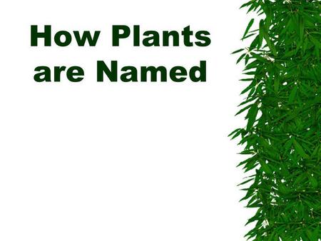 How Plants are Named.