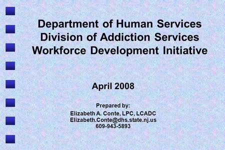 Department of Human Services Division of Addiction Services Workforce Development Initiative April 2008 Prepared by: Elizabeth A. Conte, LPC, LCADC