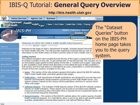 IBIS-Q Tutorial: General Query Overview  The Dataset Queries button on the IBIS-PH home page takes you to the query system.