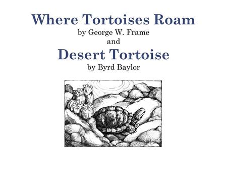 Where Tortoises Roam by George W