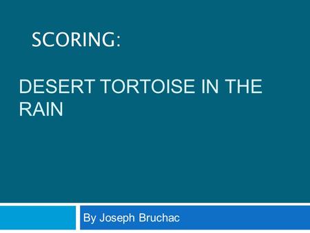 Desert Tortoise in the Rain