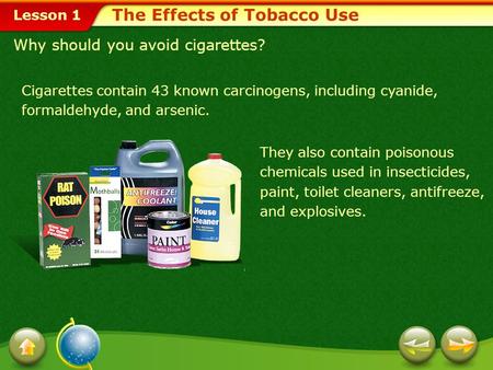 The Effects of Tobacco Use