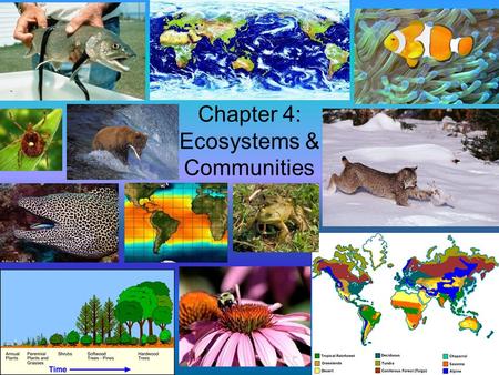 Chapter 4: Ecosystems & Communities