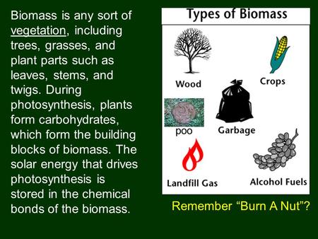 Biomass is any sort of vegetation, including trees, grasses, and plant parts such as leaves, stems, and twigs. During photosynthesis, plants form carbohydrates,
