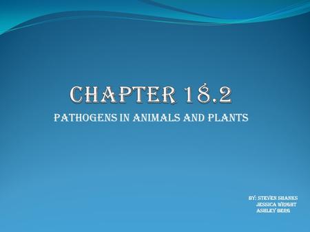 Pathogens in Animals and Plants By: Steven Shanks Jessica Wright Ashley Berg.