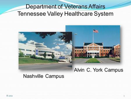 Department of Veterans Affairs Tennessee Valley Healthcare System