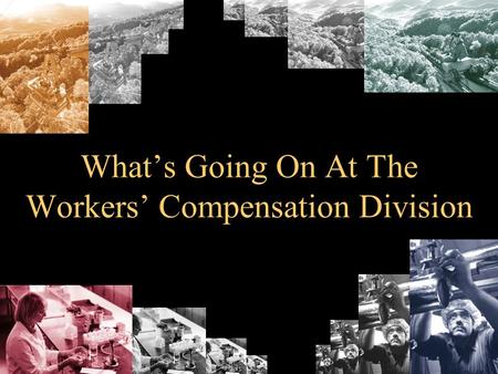 Whats Going On At The Workers Compensation Division.