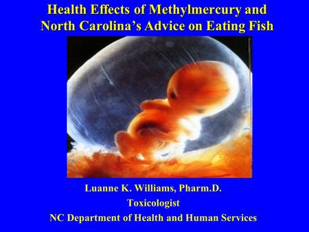 Health Effects of Methylmercury and North Carolinas Advice on Eating Fish Luanne K. Williams, Pharm.D. Toxicologist NC Department of Health and Human Services.