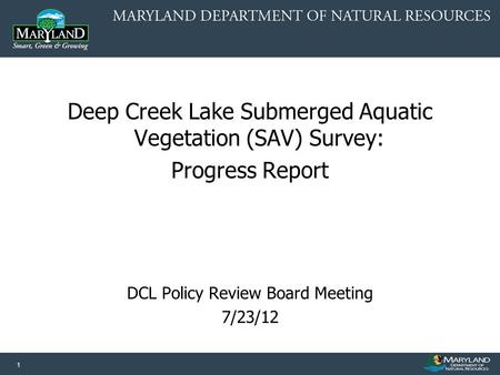 1 Deep Creek Lake Submerged Aquatic Vegetation (SAV) Survey: Progress Report DCL Policy Review Board Meeting 7/23/12.