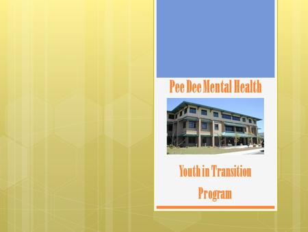 Pee Dee Mental Health Youth in Transition Program.
