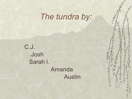 The tundra by: C.J. Josh Sarah l. Amanda Austin.