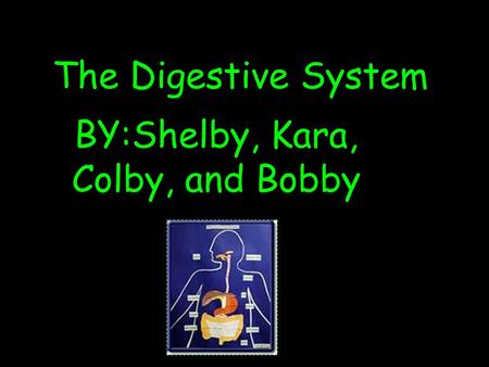 The Digestive System BY:Shelby, Kara, Colby, and Bobby.