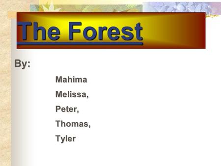 The Forest By: By:MahimaMelissa,Peter,Thomas,Tyler.