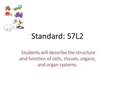 Standard: S7L2 Students will describe the structure and function of cells, tissues, organs, and organ systems.