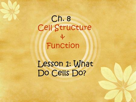 Ch. 8 Cell Structure & Function Lesson 1: What Do Cells Do?