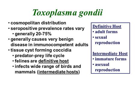 Toxoplasma gondii cosmopolitan distribution