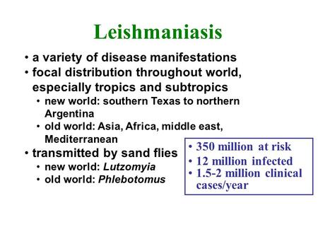 Leishmaniasis a variety of disease manifestations