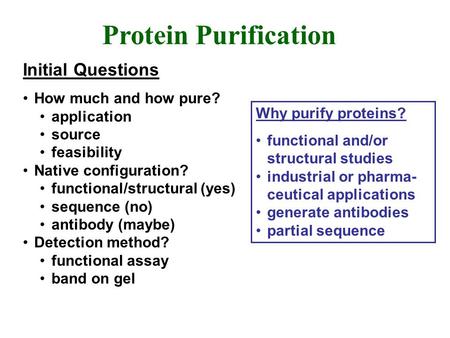 Protein Purification Initial Questions How much and how pure?
