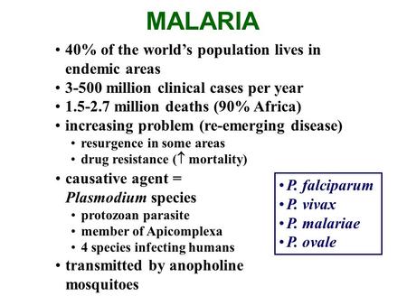 MALARIA 40% of the world’s population lives in endemic areas