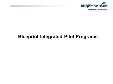 Blueprint Integrated Pilot Programs. Funding Blueprint Budget Global Commitment Catamount Fund Federal Funds Grant Support Payer Support Medicaid BCBS.