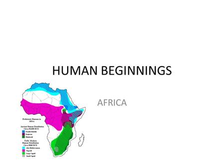 HUMAN BEGINNINGS AFRICA.